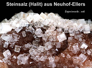 Bild vergr��ern!