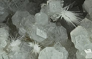 Natrolith aus Phillipsit vom Hwenegg