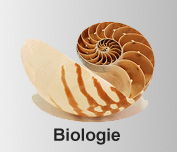 Mediendatenbank Biologie