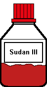 Sudan III