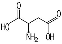 D-Aspariginsäure