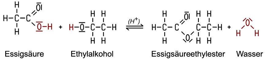 Ester-Reaktion