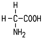 Glycin