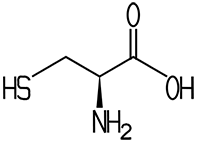 L-Cystein