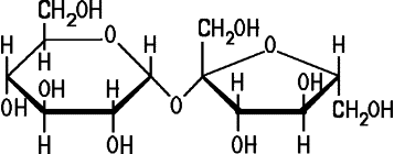 Saccharose-Molekül