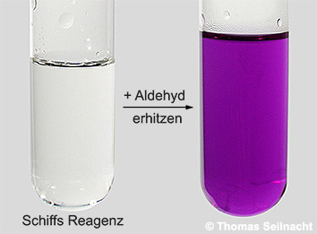 Aldehydnachweis mit Schiffs Reagenz