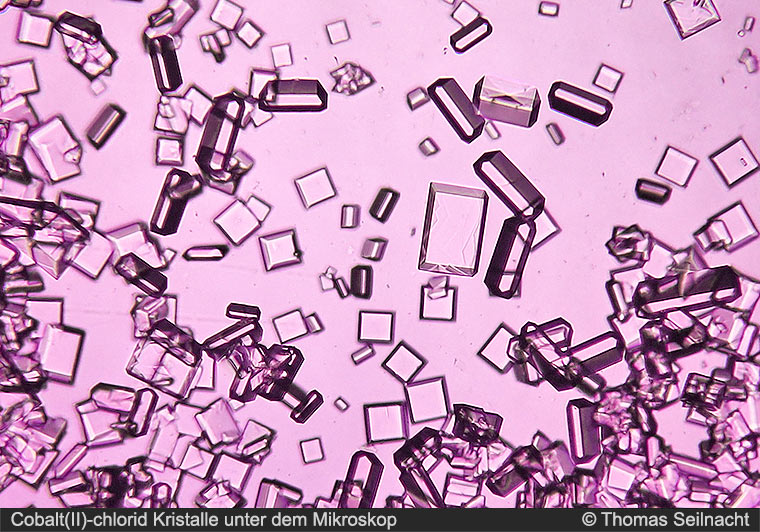 Cobalt(II)-chlorid Kristalle