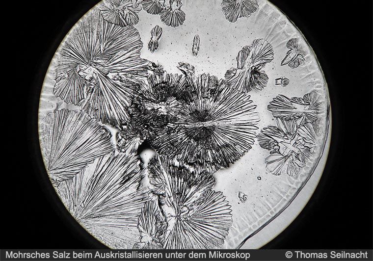 Mohrsches Salz Kristalle