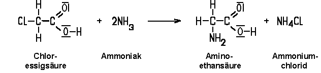 Herstellen der Aminosäure Glycin aus Essigsäure, 2. Schritt