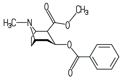 Cocain-Molekül
