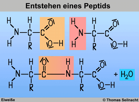 Was ist neu an trenbolone enanthate