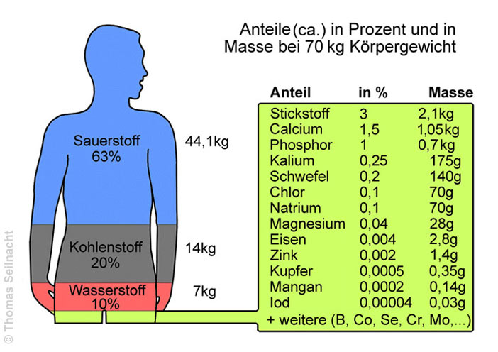 Bioelemente im Körper