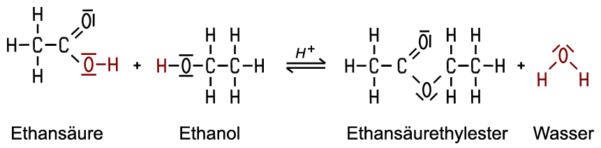 Estersynthese