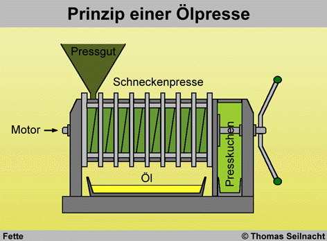 Bild vergrößern