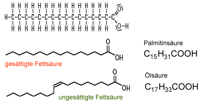 Gesättigte und ungesättigte Fettsäuren