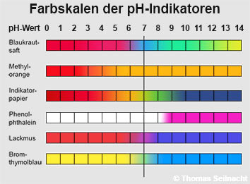 Bild vergrößern