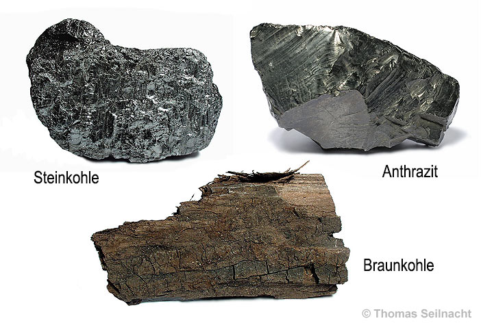 Steinkohle, Anthrazit, Braunkohle