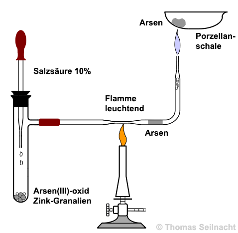 Marsh-Probe