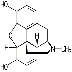 Morphium