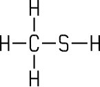 Methanthiol