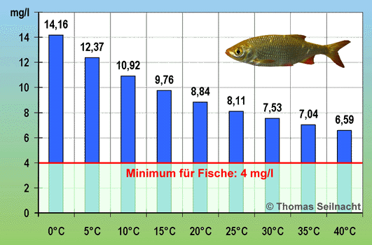 Maximaler Sauerstoffgehalt im Wasser in Abhängigkeit von der Temperatur