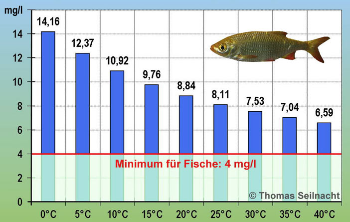 Sauerstoff-Llöslichkeit im Wasser