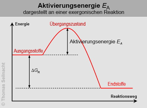 Bild vergrößern!