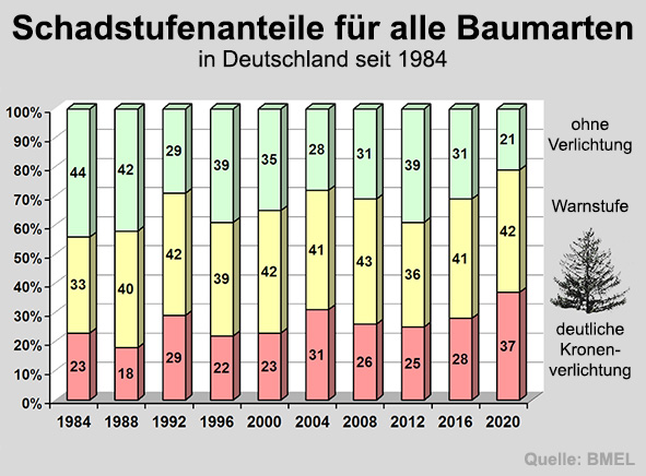 Schadstufenanteile Baumsorten