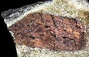 Bronzit
