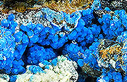 Carbonatcyanotrichit