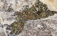 Chalkopyrit in Quarz aus Gondo im Schweizer Wallis