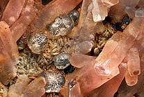 Fluorit aus Aquiles Serd�n