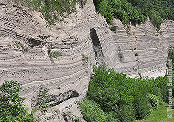 Wingertsbergwand Wingertsbergwand