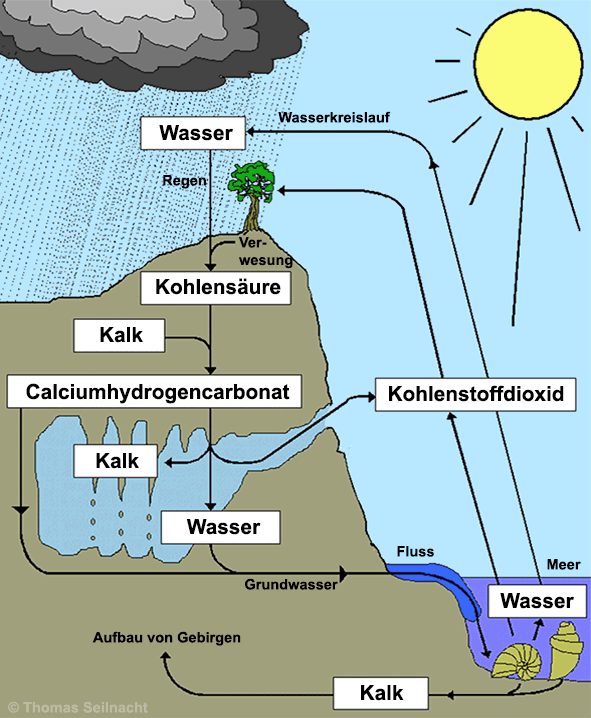 Kalkkreislauf