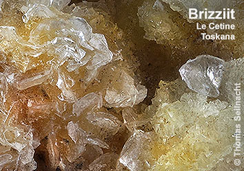 Brizziit aus Le Cetine
