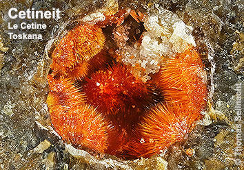 Cetineit aus der Le Cetine di Cotorniano Mine in der Toskana