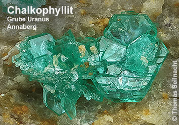 Chalkophyllit aus der Grube Uranus