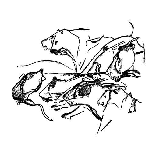 Chauvet