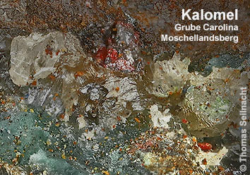 Kalomel aus Moschellandsberg