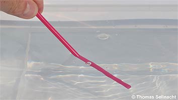 Trinkhalm im Wasser