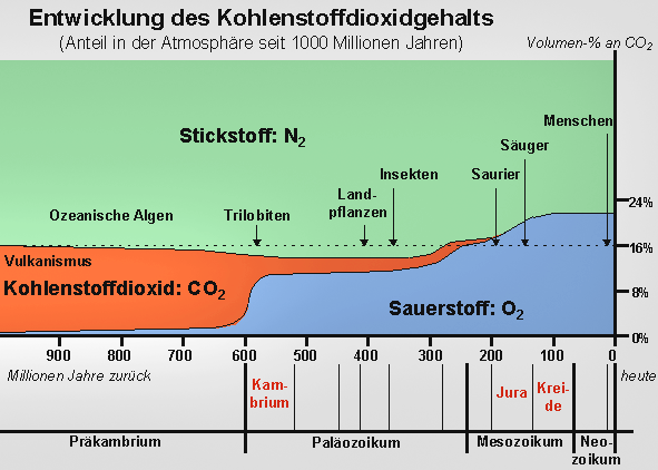 Entwicklung des Kohlenstoffdioxidgehalts