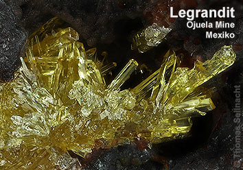 Legrandit aus der Ojuela Mine in Mexiko