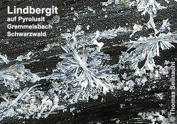 Lindbergit aus Gremmelsbach