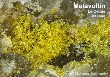 Metavoltin aus Le Cetine