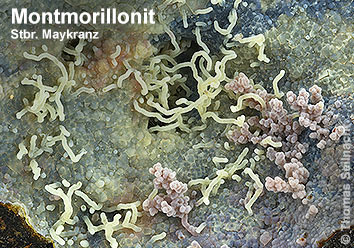 Montmorillonit aus dem Steinbruch Maykranz am Vogelsberg