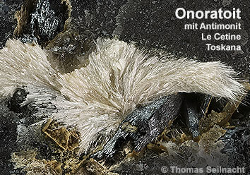 Onoratoit aus Le Cetine