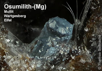 Osumilith-(Mg) vom Wartgesberg in der Eifel
