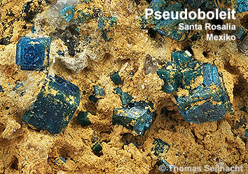 Pseudoboleit aus Santa Rosalia