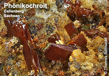 Ph&ouml;nikochroit aus Callenberg