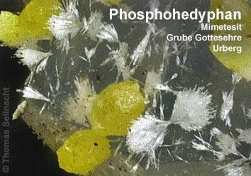 Phosphohedyphan mit Mimetesit aus der Grube Gottesehre